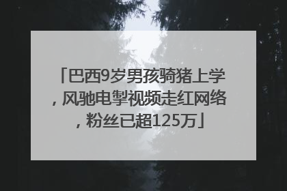 巴西9岁男孩骑猪上学，风驰电掣视频走红网络，粉丝已超125万