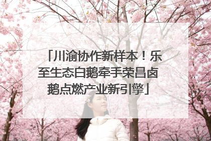 川渝协作新样本！乐至生态白鹅牵手荣昌卤鹅点燃产业新引擎