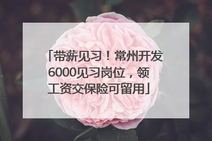 带薪见习！常州开发6000见习岗位，领工资交保险可留用