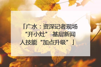 广水：资深记者现场“开小灶” 基层新闻人技能“加点升级”