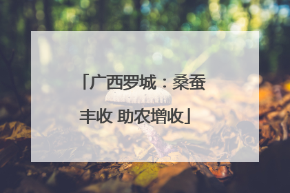 广西罗城：桑蚕丰收 助农增收