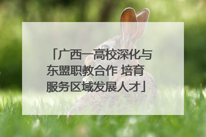 广西一高校深化与东盟职教合作 培育服务区域发展人才