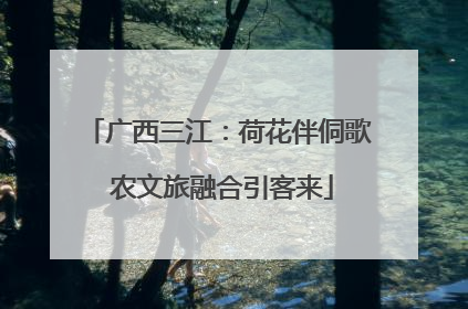 广西三江：荷花伴侗歌 农文旅融合引客来