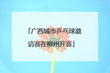 广西城市乒乓球邀请赛在柳州开赛