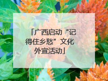 广西启动“记得住乡愁”文化外宣活动