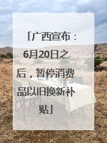 广西宣布：6月20日之后，暂停消费品以旧换新补贴