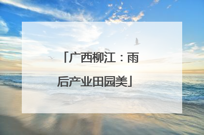 广西柳江：雨后产业田园美