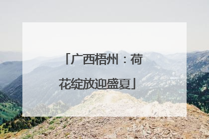 广西梧州：荷花绽放迎盛夏