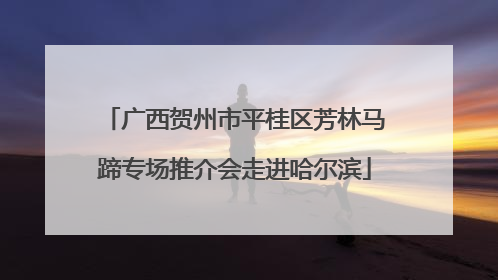 广西贺州市平桂区芳林马蹄专场推介会走进哈尔滨