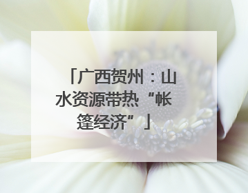 广西贺州：山水资源带热“帐篷经济”
