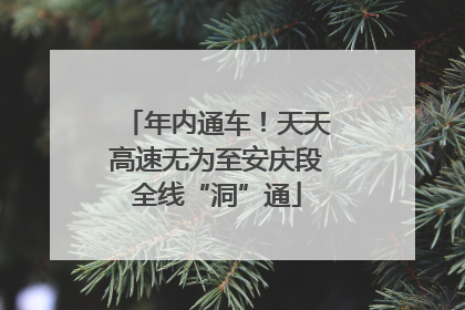 年内通车！天天高速无为至安庆段全线“洞”通