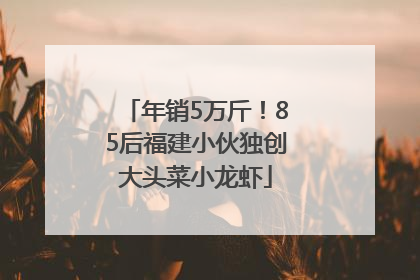 年销5万斤！85后福建小伙独创大头菜小龙虾