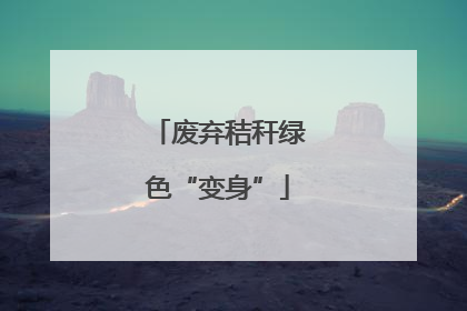 废弃秸秆绿色“变身”