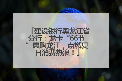 建设银行黑龙江省分行：龙卡“66节”惠购龙江，点燃夏日消费热浪！