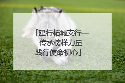 建行柘城支行——传承榜样力量 践行使命初心