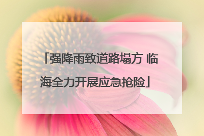 强降雨致道路塌方 临海全力开展应急抢险