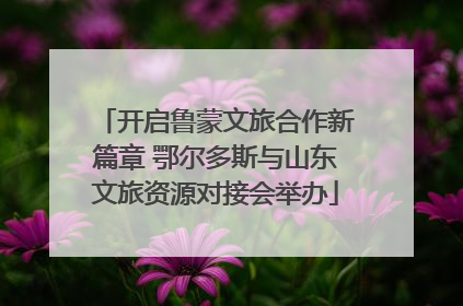 开启鲁蒙文旅合作新篇章 鄂尔多斯与山东文旅资源对接会举办