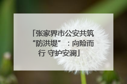 张家界市公安共筑“防洪堤”：向险而行 守护安澜