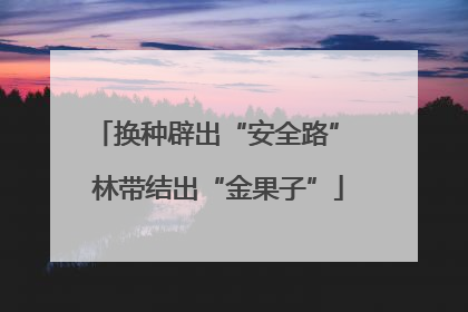 换种辟出“安全路” 林带结出“金果子”