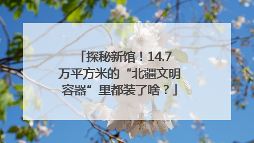 探秘新馆！14.7万平方米的“北疆文明容器”里都装了啥？
