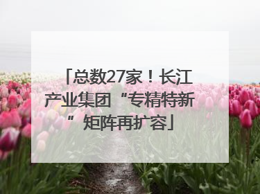 总数27家！长江产业集团“专精特新”矩阵再扩容