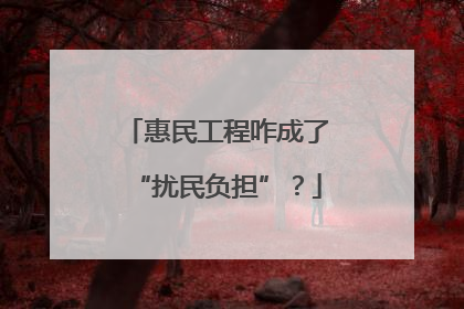 惠民工程咋成了“扰民负担”？