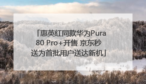 惠英红同款华为Pura 80 Pro+开售 京东秒送为首批用户送达新机