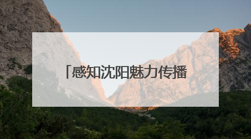 感知沈阳魅力传播盛京文化——沈阳医学院留学生沉浸式体验沈阳文旅特色