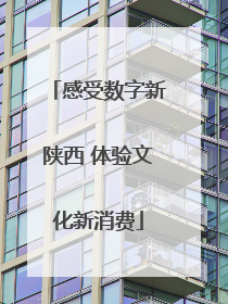 感受数字新陕西 体验文化新消费