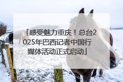 感受魅力重庆！总台2025年巴西记者中国行媒体活动正式启动
