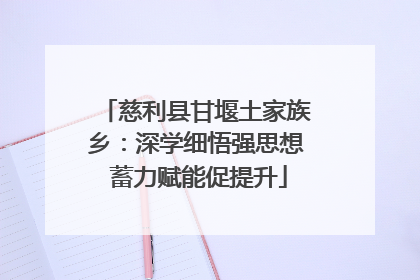 慈利县甘堰土家族乡：深学细悟强思想 蓄力赋能促提升