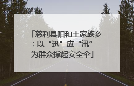 慈利县阳和土家族乡：以“迅”应“汛” 为群众撑起安全伞