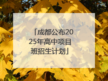 成都公布2025年高中项目班招生计划