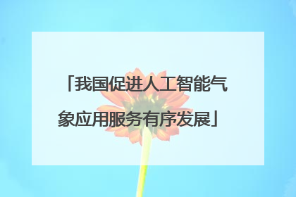 我国促进人工智能气象应用服务有序发展