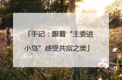手记：跟着“主委进小岛”感受共富之美