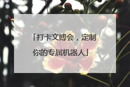 打卡文博会，定制你的专属机器人