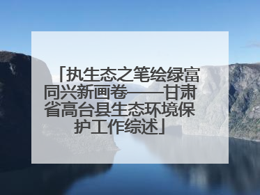 执生态之笔绘绿富同兴新画卷——甘肃省高台县生态环境保护工作综述