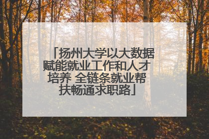 扬州大学以大数据赋能就业工作和人才培养 全链条就业帮扶畅通求职路