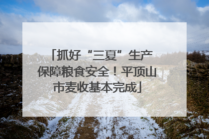 抓好“三夏”生产 保障粮食安全！平顶山市麦收基本完成