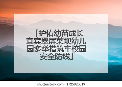 护佑幼苗成长 宜宾翠屏菜坝幼儿园多举措筑牢校园安全防线