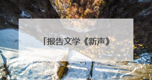 报告文学《新声》多语种外文版新书发布会在京举行