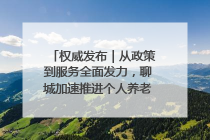 权威发布｜从政策到服务全面发力，聊城加速推进个人养老金制度落地