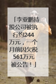 李亚鹏持股公司被执行约244万元，一个月前因欠税561万元被公告！
