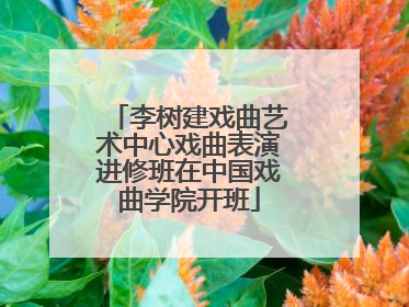 李树建戏曲艺术中心戏曲表演进修班在中国戏曲学院开班