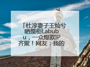 杜淳妻子王灿兮晒整柜Labubu，一众爆款IP齐聚！网友：我的 “梦中情柜”
