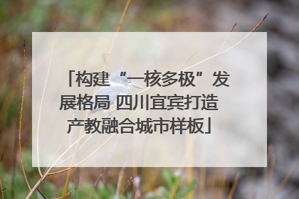 构建“一核多极”发展格局 四川宜宾打造产教融合城市样板