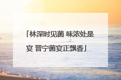 林深时见菌 味浓处是宴 晋宁菌宴正飘香