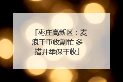 枣庄高新区：麦浪千重收割忙 多措并举保丰收