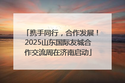 携手同行，合作发展！2025山东国际友城合作交流周在济南启动