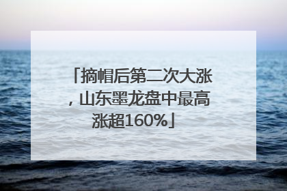 摘帽后第二次大涨，山东墨龙盘中最高涨超160%